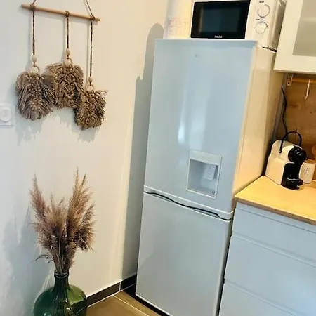 Apartment Glamour Tout Equipe Avec Balneo Et Sauna Nancy