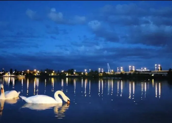 Glamour Equipe Avec Balneo Et Sauna Appartamento Nancy