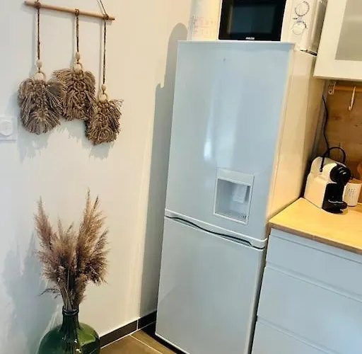 Apartmán Glamour Equipe Avec Balneo Et Sauna Nancy